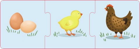Логічні ланцюжки. Тварини і рослини. Етапи розвитку - фото 5
