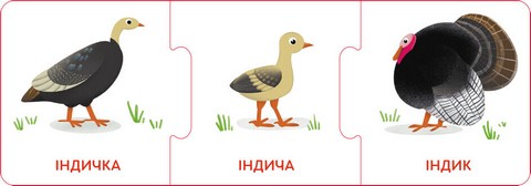 Логічні ланцюжки. Малюки тварини та їхні родини - фото 4