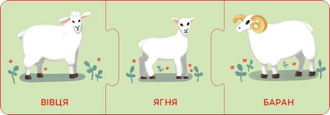 Логічні ланцюжки. Малюки тварини та їхні родини - фото 5