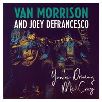 Van Morrison And Joey DeFrancesco – You're Driving Me Crazy (2LP, Album, Vinyl) - Jazz