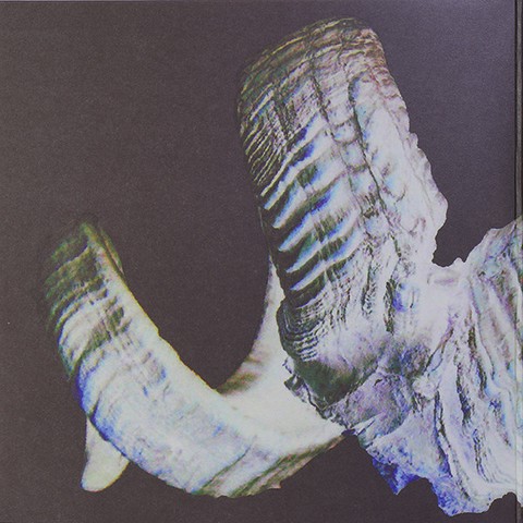 Coil – The Remote Viewer (2LP, Album, Limited Edition, Numbered, Reissue, Colored Vinyl) - фото 3