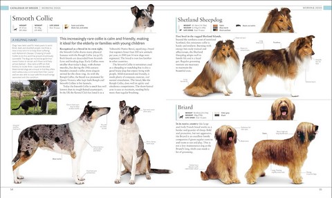 The Dog Encyclopedia. The Definitive Visual Guide - фото 3