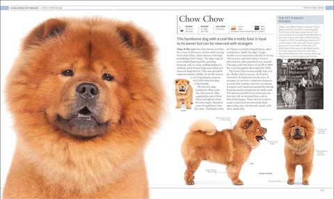 The Dog Encyclopedia. The Definitive Visual Guide - фото 4