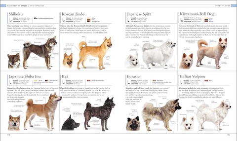 The Dog Encyclopedia. The Definitive Visual Guide - фото 5