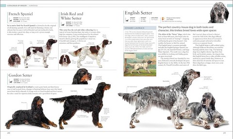 The Dog Encyclopedia. The Definitive Visual Guide - фото 7