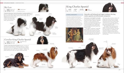 The Dog Encyclopedia. The Definitive Visual Guide - фото 8