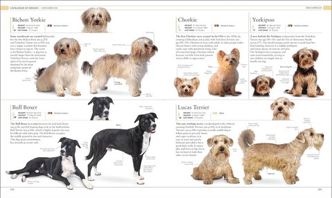 The Dog Encyclopedia. The Definitive Visual Guide - фото 9