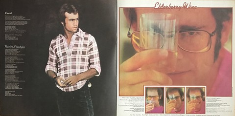Elton John – Dont Shoot Me Im Only The Piano Player (LP, Album, Vinyl) - фото 7