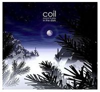 Coil – Musick To Play In The Dark (2LP, Single Sided, Etched, Album, Limited Edition, Reissue, Remastered, Repress, Purple / Black Smash, Vinyl) - Electronic