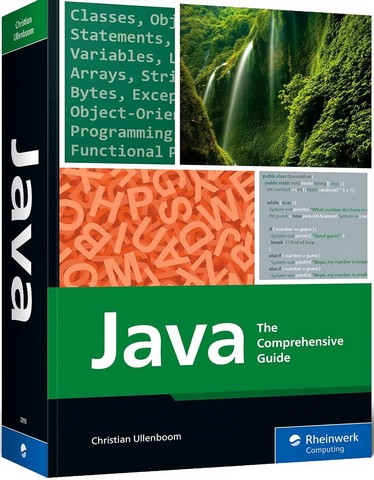 Java: The Comprehensive Guide to Java Programming for Professionals - фото 1