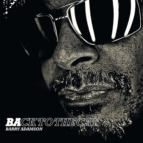 Barry Adamson – Back To The Cat (LP, Album, Limited Edition, Reissue, Clear Vinyl) - фото 1