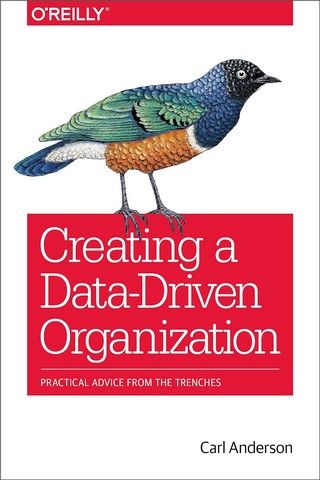 Creating a Data-Driven Organization: Practical Advice from the Trenches 1st Edition - фото 1