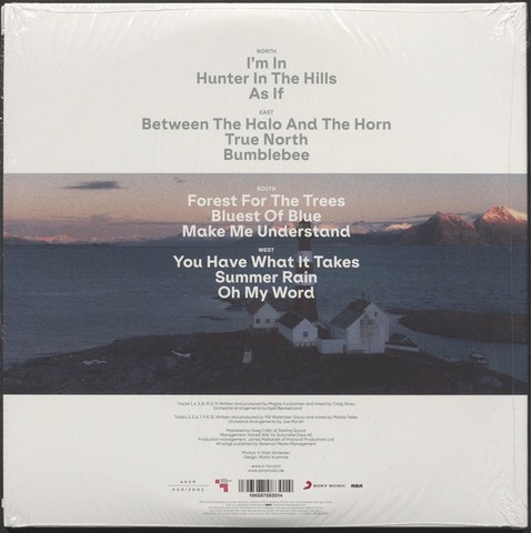 A-Ha – True North (2LP, 45 RPM, Album, Vinyl) - фото 3