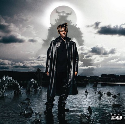 Juice WRLD – Fighting Demons (2LP, Album, Vinyl) - фото 1