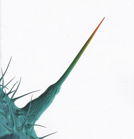 Peter Gabriel – And Ill Scratch Yours (CD, Album) - фото 1