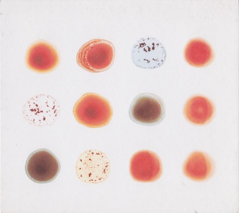 Peter Gabriel – Scratch My Back / And Ill Scratch Yours (2CD, Album, Reissue, Compilation) - фото 1