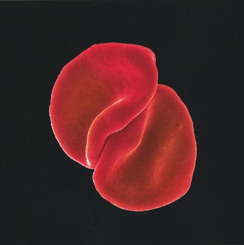 Peter Gabriel – Scratch My Back / And Ill Scratch Yours (2CD, Album, Reissue, Compilation) - фото 5