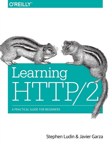 Learning HTTP/2: A Practical Guide for Beginners 1st...