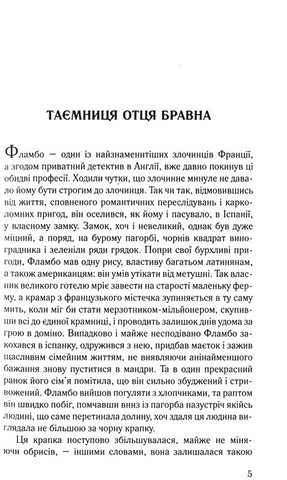 Дзеркало судді. Детективні історії отця Бравна - фото 2