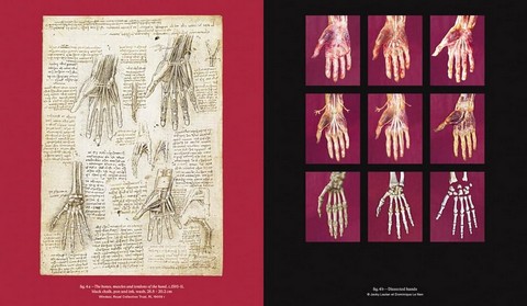 Leonardo da Vinci and Anatomy. The Mechanics of Life - фото 5