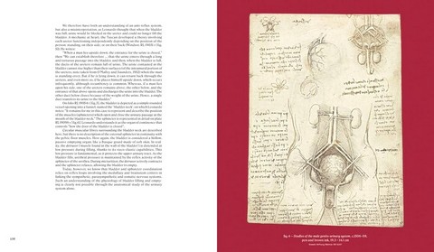 Leonardo da Vinci and Anatomy. The Mechanics of Life - фото 6