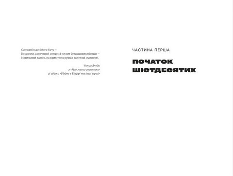 Половина жовтого сонця - фото 2