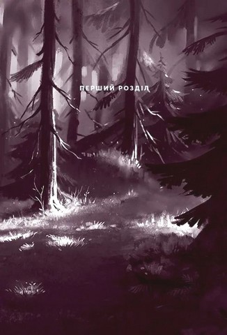 Північне сяйво. Книга 2. Вікінги й Оракул - фото 2