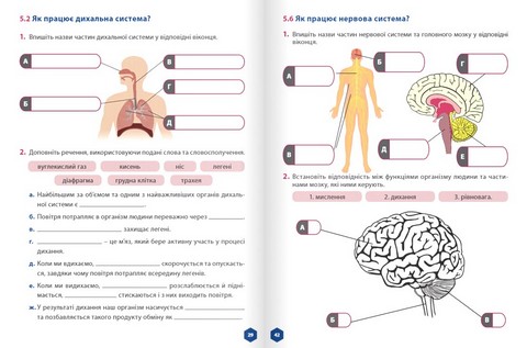 Пізнаємо природу. 5 клас. Робочий зошит. Частина 2 - фото 4