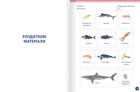 Пізнаємо природу. 5 клас. Робочий зошит. Частина 2 - фото 8
