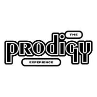 The Prodigy – Experience (CD, Album, Reissue) - CD диски