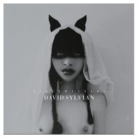 David Sylvian – Sleepwalkers (2LP, Compilation, Reissue, Remastered, Stereo, Alternate Edition, Vinyl)
