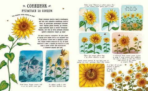 Маленькі дива природи - фото 5