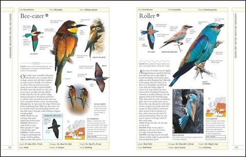 RSPB Complete Birds of Britain and Europe - фото 6