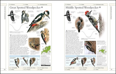 RSPB Complete Birds of Britain and Europe - фото 7