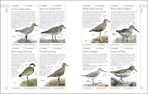 RSPB Complete Birds of Britain and Europe - фото 9