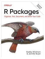 R Packages: Organize, Test, Document, and Share Your Code 2nd Edition - Базы данных