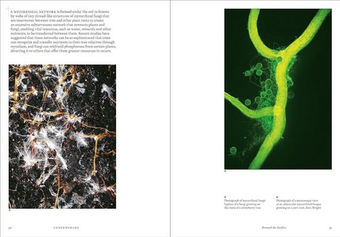 Underworlds. A Compelling Journey Through Subterranean Realms, Real and Imagined. Signed Edition - фото 5