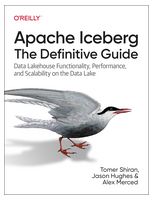 Apache Iceberg: The Definitive Guide: Data Lakehouse Functionality, Performance, and Scalability on the Data Lake 1st Edition - Базы данных, СУБД