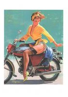 Skirting the Issue (Breezing Up), 1956