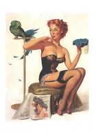 Feathers and Fashions