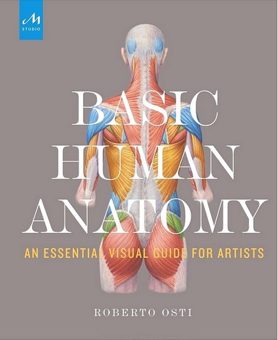Basic Human Anatomy. An Essential Visual Guide for...