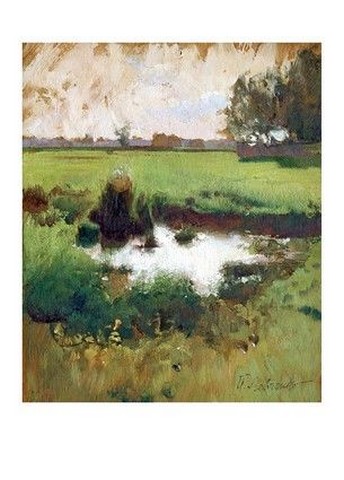 На лугах. Болітце - фото 1