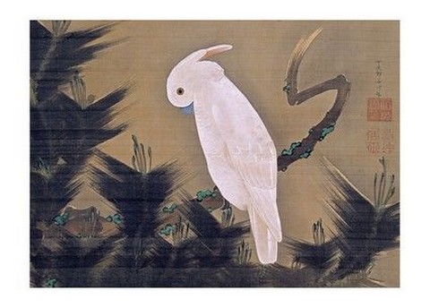 White Cockatoo on a Pine Branch - фото 1