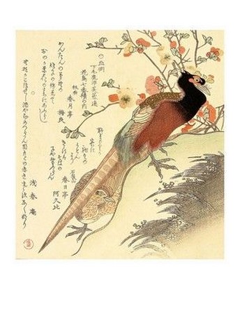 Two Pheasants - фото 1
