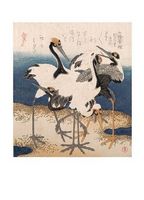 Five Storks on the Seashore