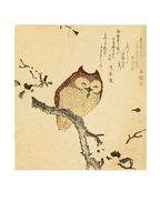 Horny Owl on a Blossoming Magnolia Branch