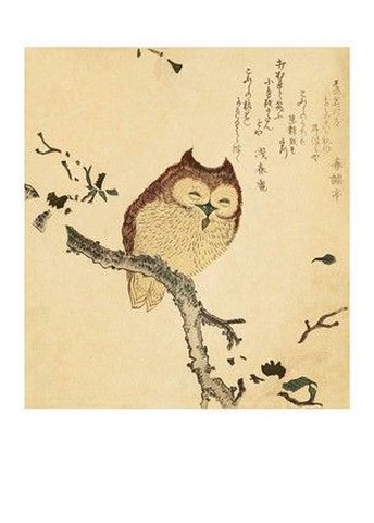 Horny Owl on a Blossoming Magnolia Branch - фото 1