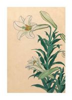 Lilies Teppoyuri, 1930