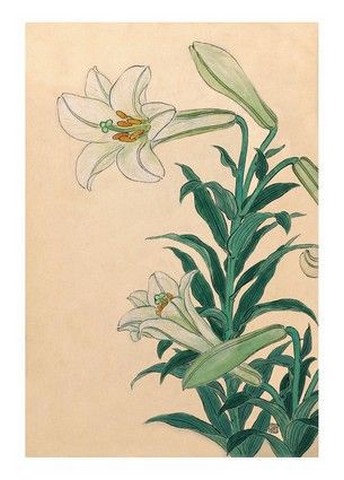 Lilies Teppoyuri, 1930 - фото 1