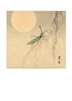 Praying Mantis and Full Moon, between 1900-1919 - Открытки Календари Плакаты